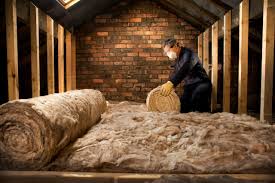 Best Insulation for New Construction  in Belterra, TX