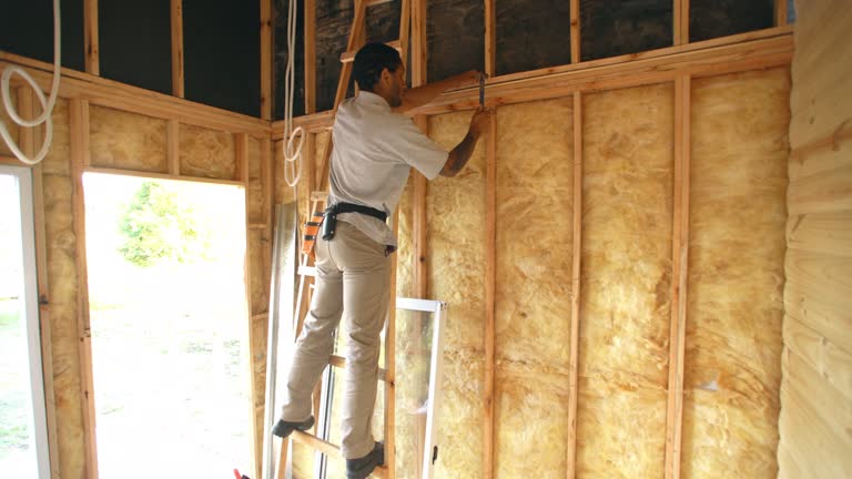 Types of Insulation We Offer in Belterra, TX