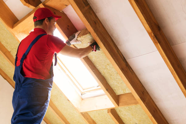 Best Spray Foam Insulation  in Belterra, TX